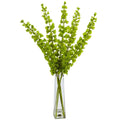 Bells of Ireland in Pyramid Glass