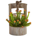 Sedum in Garden Planter