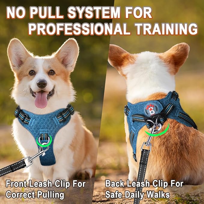 Dog Harness Step in Dog Vest Harness, Reflective Adjustable Puppy No Pull Harness Breathable Soft for Small and Medium Dogs Cats, Blue/Black, S