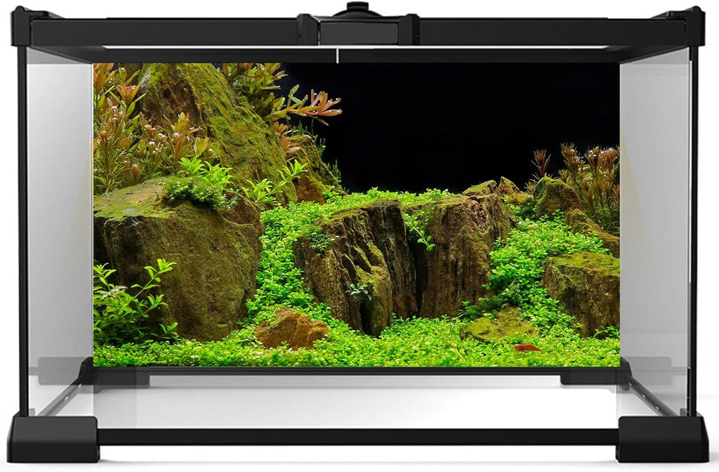 Aquarium Background Exquisite Underwater Grass with Moss Aquarium Backdrop Mysterious Stone Wall Aquarium Background Durable Vivid and Fresh Leaves Background Tank Backdrop Decor Vinyl 48x18in
