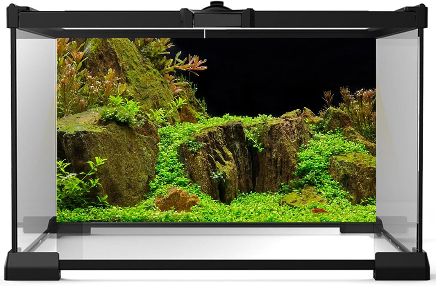 Aquarium Background Exquisite Underwater Grass with Moss Aquarium Backdrop Mysterious Stone Aquarium Background Durable Vivid and Fresh Leaves Background Tank Backdrop Decor Vinyl 24x12in