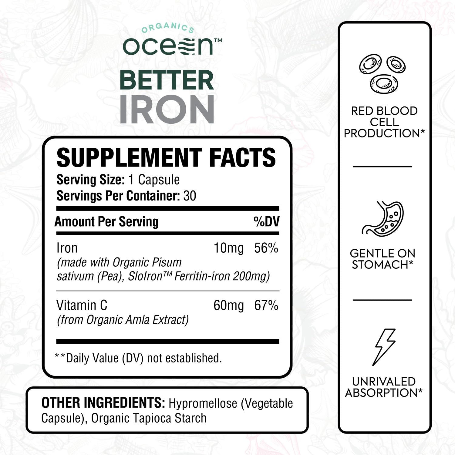 Ocean Dietary Supplement Iron Supplement with Lipofer - Supports Healthy Iron Levels & Anemia Support - 30 Tablets