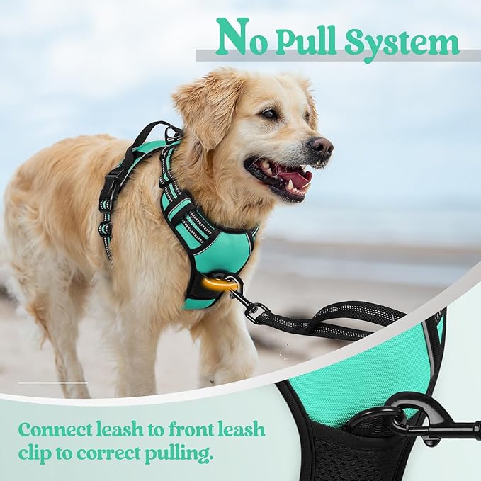 rabbitgoo Dog Harness No Pull with 2 Leash Clips, Adjustable Soft Padded, Reflective Oxford No Choke Pet Vest with Easy Control Handle for Medium Sized Dogs, Turquoise, M