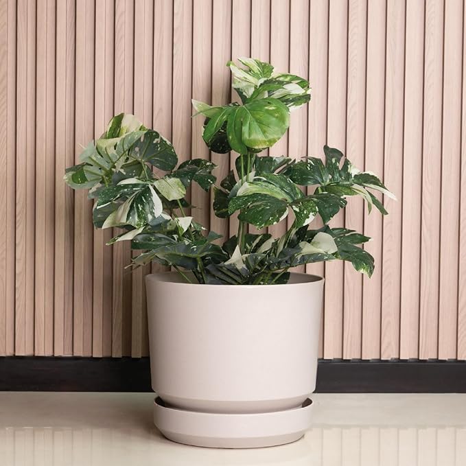 Elly Décor 10 inch Plastic Cylinder Planter Pot with Self-Watering Saucer and Drainage Hole,Lightweight & Extremely Durable, 10"x 10", Ivory