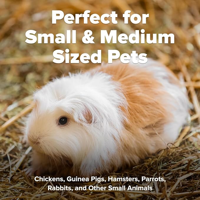 All Walks 18.5 Liter 100% Natural Hemp Bedding - Odor Control, Dust-Free, Chemical-Free, for Chicken Coops, Hamsters, Rabbits & Small Animals, Biodegradable, Made in USA, Highly Absorbent