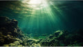 Under The Sea Aquarium Background Underwater Fish Tank Background Ocean Floor Rock Cave Sunray Terrarium Backgrounds Tropical Fish Ocean World Aquarium Reptile Tank Backgrounds 60x24in