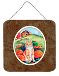 Tabby Cat in Pumpins Wall or Door Hanging Prints Aluminum Metal Sign Kitchen Wall Bar Bathroom Plaque Home Decor, 6x6, Multicolor