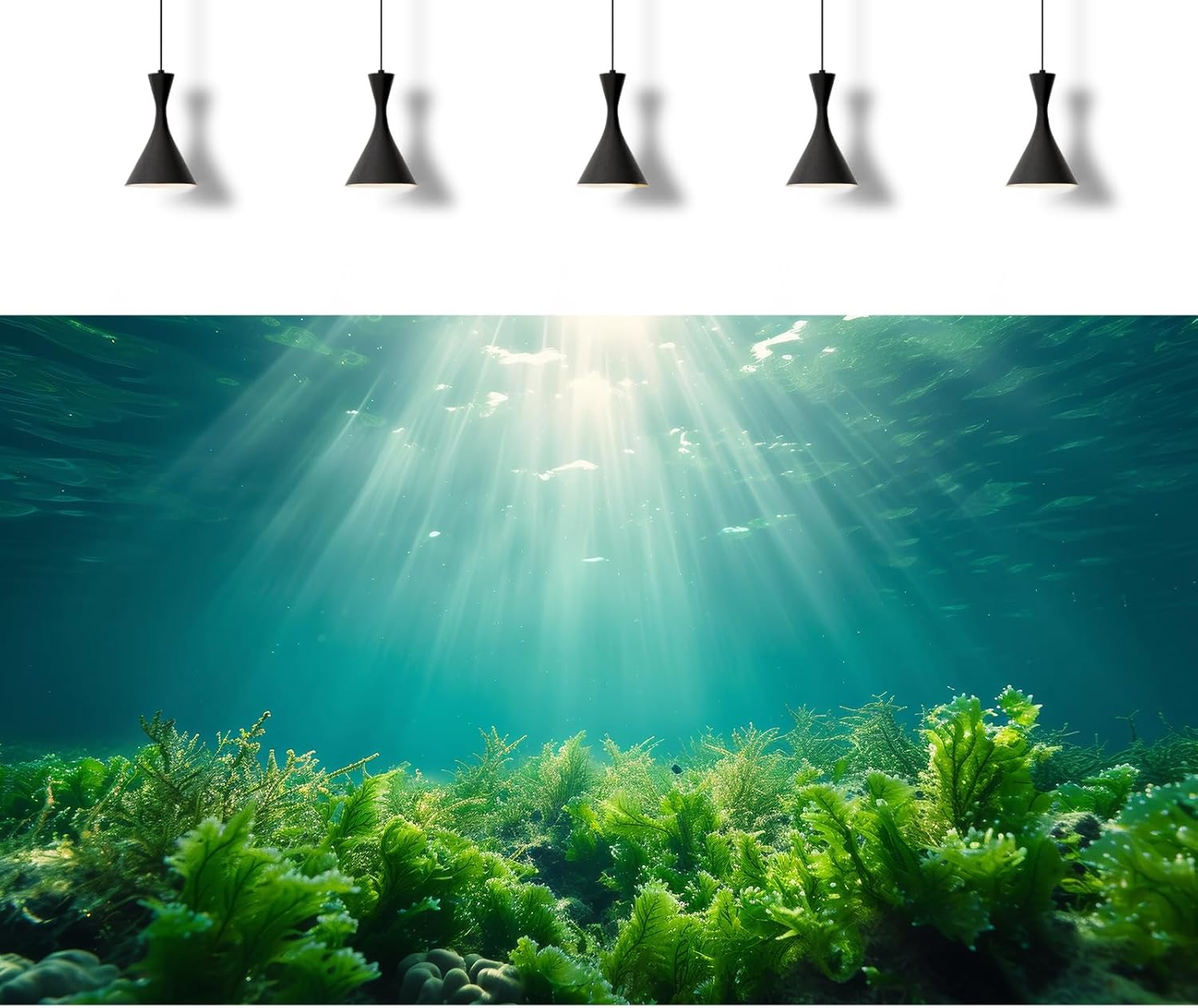 Deep Ocean Fish Tank Background Under The Sea Aquatic Plants Aquarium Background Underwater Corals Sunray Terrarium Backgrounds Tropical Fish Ocean World Aquarium Backgrounds Decorations 72x16in