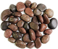 HappyFiller Natural Decorative Red Pebbles Polished Gravel Rocks Stones for Aquarium,Fish Turtle Tank,Outdoor Indoor Plants Top Dressing,Succulents Soil Cover,Garden Landscaping,18 LB