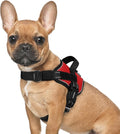 rabbitgoo Dog Harness for Small, Easy On Pet Vest with One Buckle, No Pull Adjustable Service Harness with D-Ring & Handle, Reflective for Safety Walking, Training, Red, S
