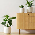 LE TAUCI Ceramic Planters, Set of 3 Plant Pots for Indoor Plants, 8.3+6.9+5.7 inch Flower Pots with Drainage Holes, Medium Cylinder Planters Pot for Indoor House Plants, White