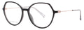 Tommy Hilfiger Th 2058 Eyeglasses