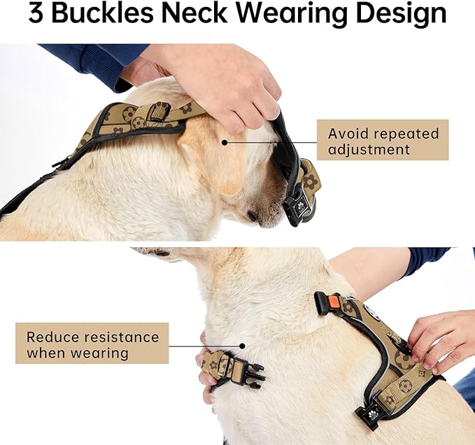 IVY&LANE No Pull Dog Harness with Leash Set, Reflective No Choke Pet Vest,Adjustable Oxford Dog Vest Harness with Easy Control Handle for Medium Dogs (Light Brown,M)