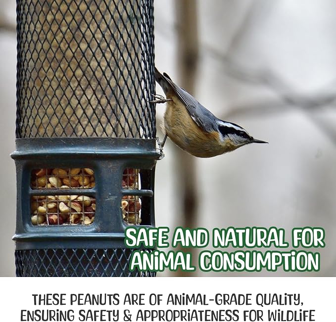 Premium Quality- 25 Pound Raw Peanuts in Shell – All-Natural Food for Squirrels, Deer, Birds, and Other Wildlife Animals – Bulk Wholesale Bag – Grown in The USA for Healthy Nutrition