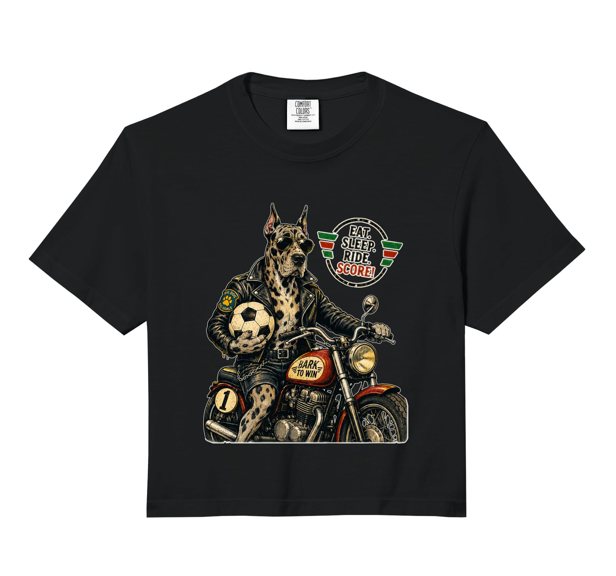 Great Dane Motorbike Love Footbal Sweatshirt - Custom Art Print Unisex