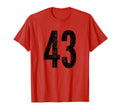 Number 43 Distressed Sport Team T-Shirt - Custom Art Print for Adults