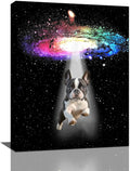 Funny Dog Wall Art Canvas Boston Terrier Wall Decor Prints Framed Painting Bulldog Galaxy Pictures Gifts Artwork for Bathroom 16"x20"