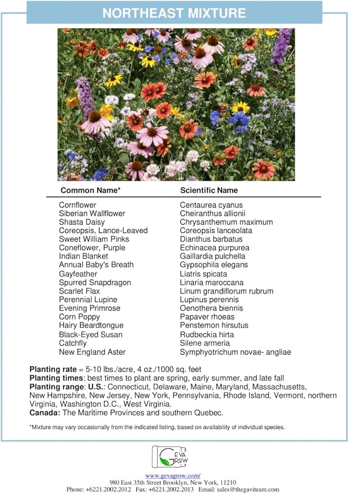 on The Go Regional Wildflower Seed Shaker - Northeast USA Wildflowers - 100% Pure Seed - Organic, Non-GMO - 21 Wildflower Variety Seeds of Annual & Perennial, 2oz