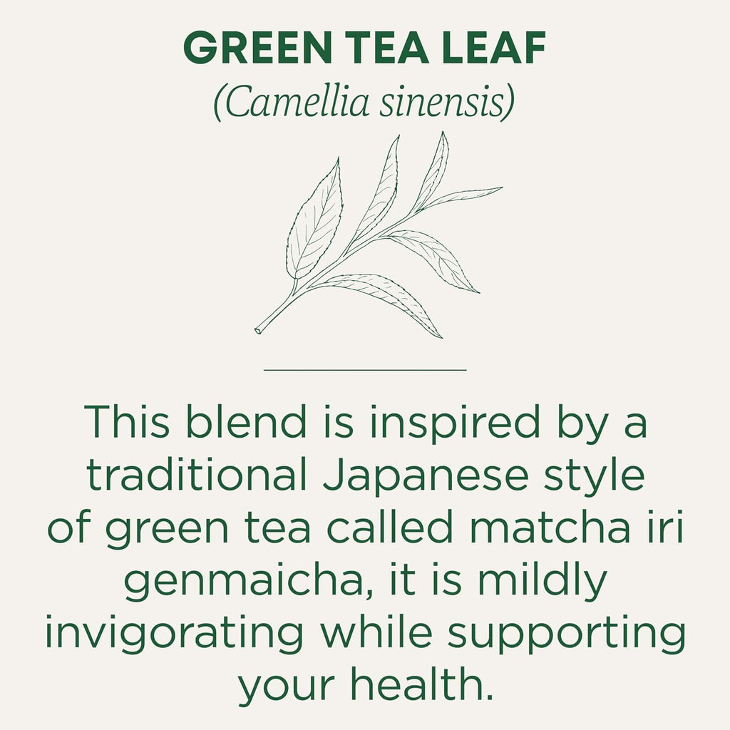 Traditional Medicinals Matcha Infused Green Tea with Jasmine Rice, Case of 6, 16 Bags Each, Organic & Sustainably Sourced
