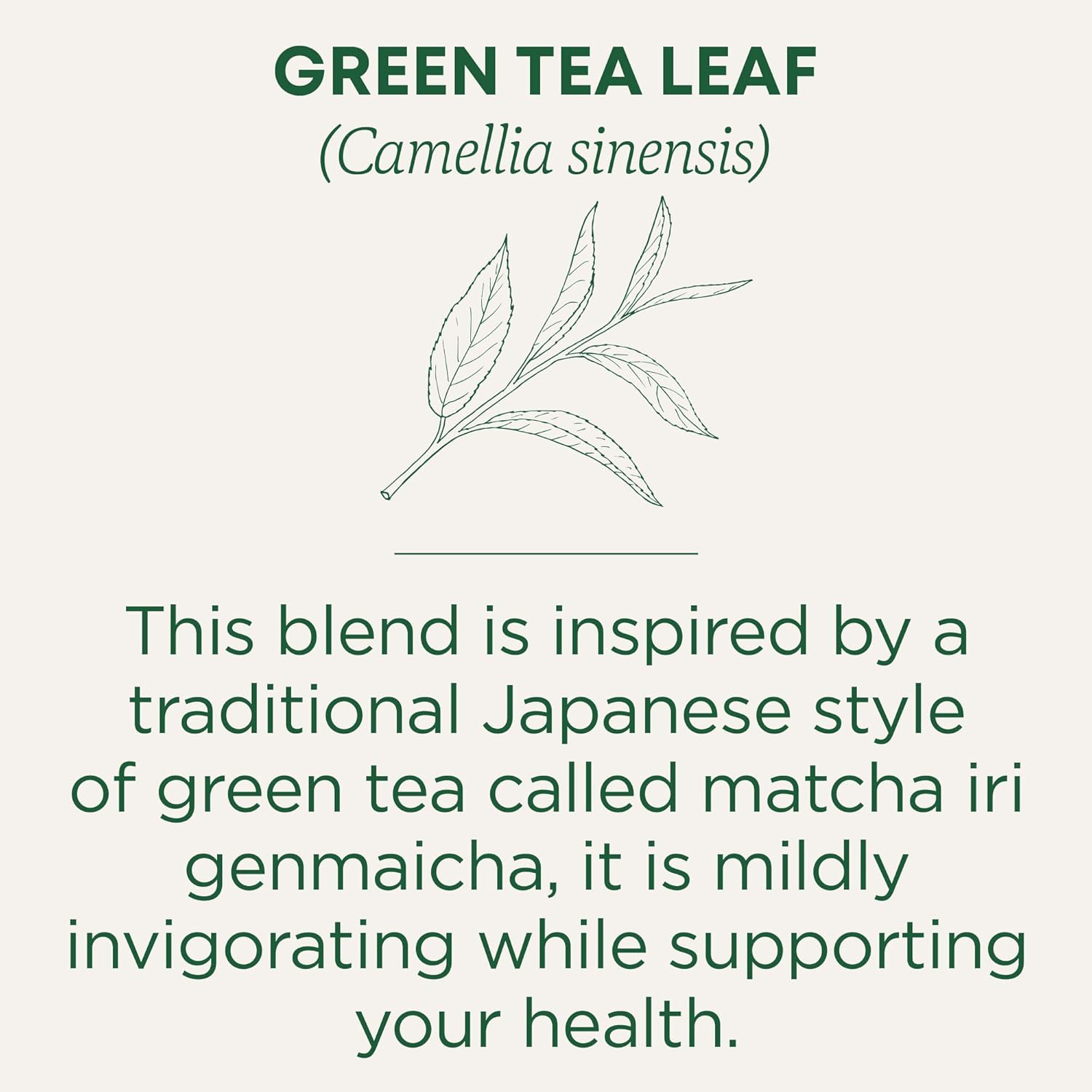 Traditional Medicinals Matcha Infused Green Tea with Jasmine Rice, Case of 6, 16 Bags Each, Organic & Sustainably Sourced