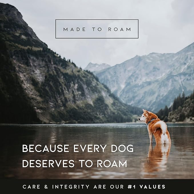 MADE TO ROAM Premium Explorer Harness - Y-Shaped Dog Harness with Adjustable Durable Nylon, Soft Padding, Metal Buckles and Leather Handle for Small, Medium, Large Dogs (Maine Marina, Size 7)