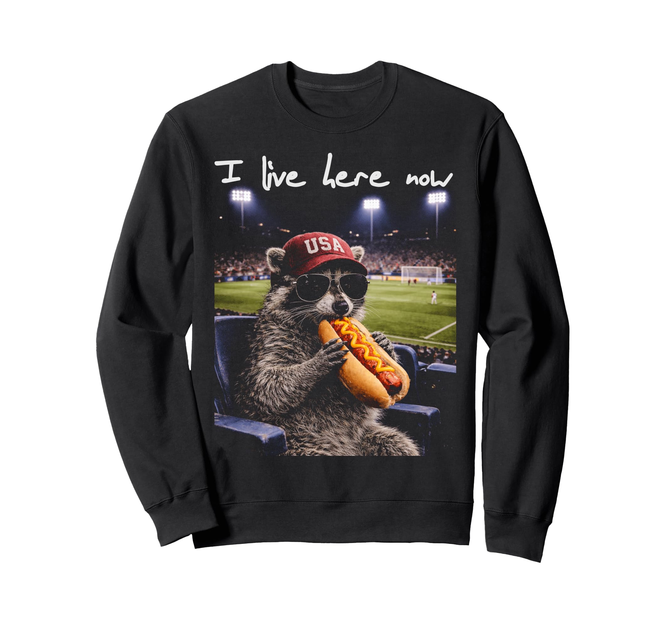 Funny Raccoon Ballfield Hot Dog Sweatshirt - Graphic Print for Adults