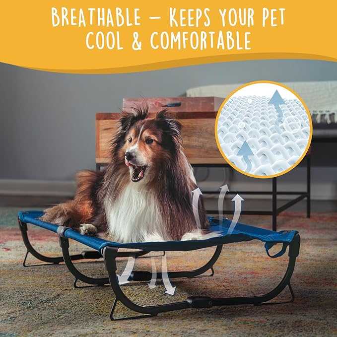 Daisy Cot, Medium Foldable Elevated Dog Bed, Portable Raised Outdoor Folding Dog Cot, Cooling, Chew Proof, Waterproof, Heavy Duty Up to 160 Lbs for Camping/Home, Dark Blue, 32"x 19"x6"