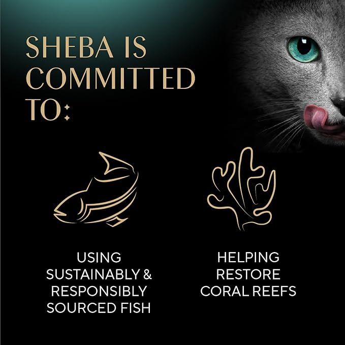 Sheba Gravy Indulgence Adult Wet Cat Food Salmon Entree and Whitefish Entree in Extra Gravy Variety Pack, 2.6 oz. Twin-Pack Trays, (12 Count, 24 Servings) (Pack of 2)