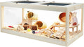 Prolee Hamster Habitat Chewproof, Mice and Rat Habitat with Transparent Sides, Hamster Cage with Openable Mesh Top, Solid Built with Lock Design (48" L x 20" W x 20" H)