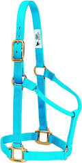 Weaver Equine Nylon Horse Halter, Triple-Ply Cheek Design, Original Non Adjustable Halters for Horses, Equine Tack,Average Size, Black