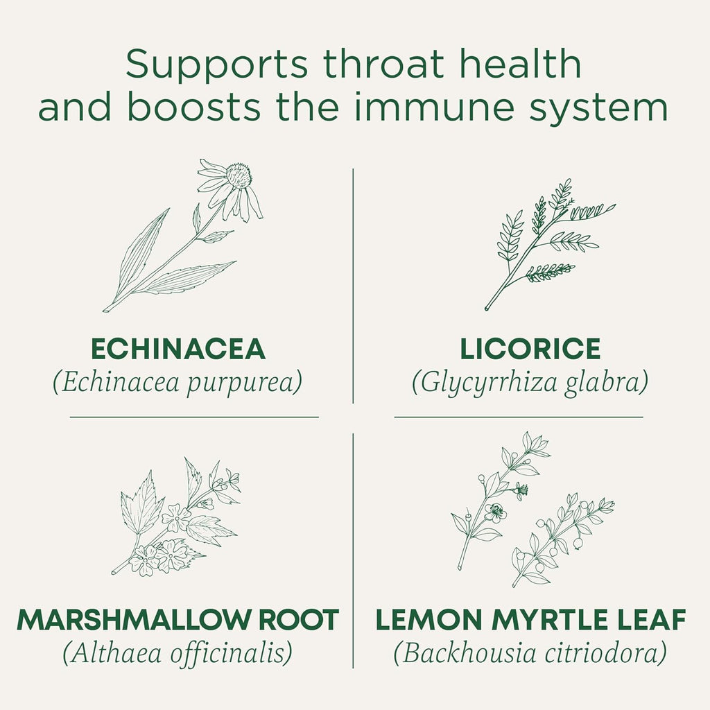 Traditional Medicinals Organic Lemon Echinacea Throat Coat Tea, 16 Bags, Case of 6 – Immune Support, Sore Throat Relief
