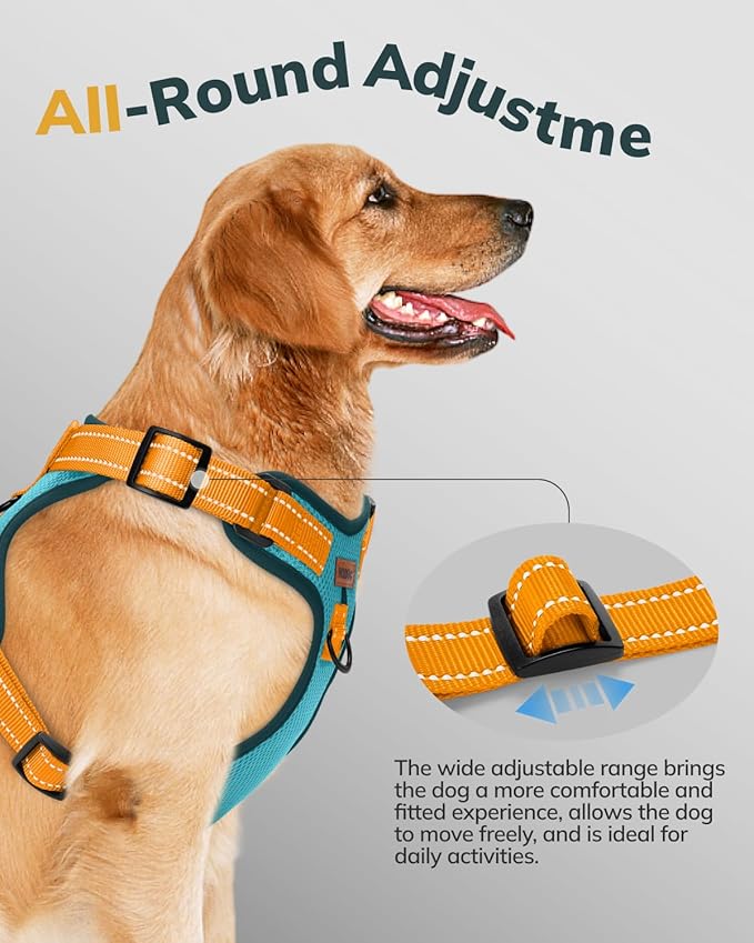 MIDOG No-Pull Dog Harness | Adjustable & Reflective Pet Harness Leash Set for Small Medium Large Dogs Walking, Training| No Choke, Front Clip, Soft Padded Vest with Easy Control Handle - Blue, XS