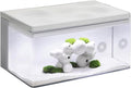 Harmony All-in-One Aquatic Tank by Clairnara - Harmony Premium - iF Design Award Winning 10 Gallon Aquarium with LED Light, Patented Filtration System, and Ultra-Quiet Water Pump