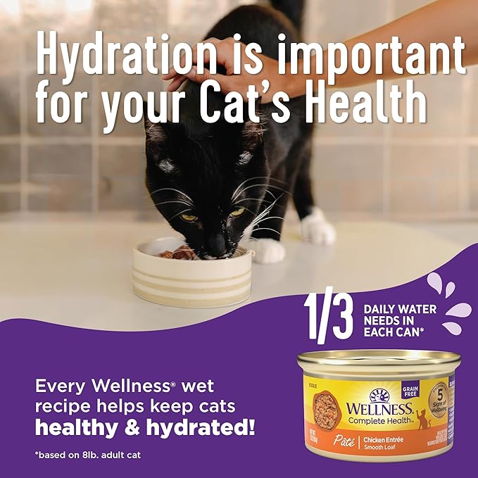 Wellness Complete Health Minced Adult Wet Cat Food, Natural, Protein-Rich, Grain Free, 3 Ounce , 24 Pack, (Chicken Entrée)