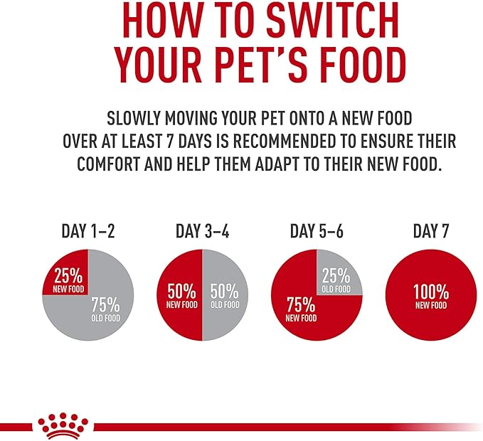 Royal Canin Digestive Care Thin Slices in Gravy Wet Cat Food, 3 oz can (12-count)