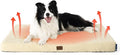 Bedsure Self Warming Dog Bed for Large Dogs - Orthopedic Waterproof Puppy Beds with Removable Washable Cover, Egg Crate Foam Pet Mat, Suitable for Pet Up to 65 lbs