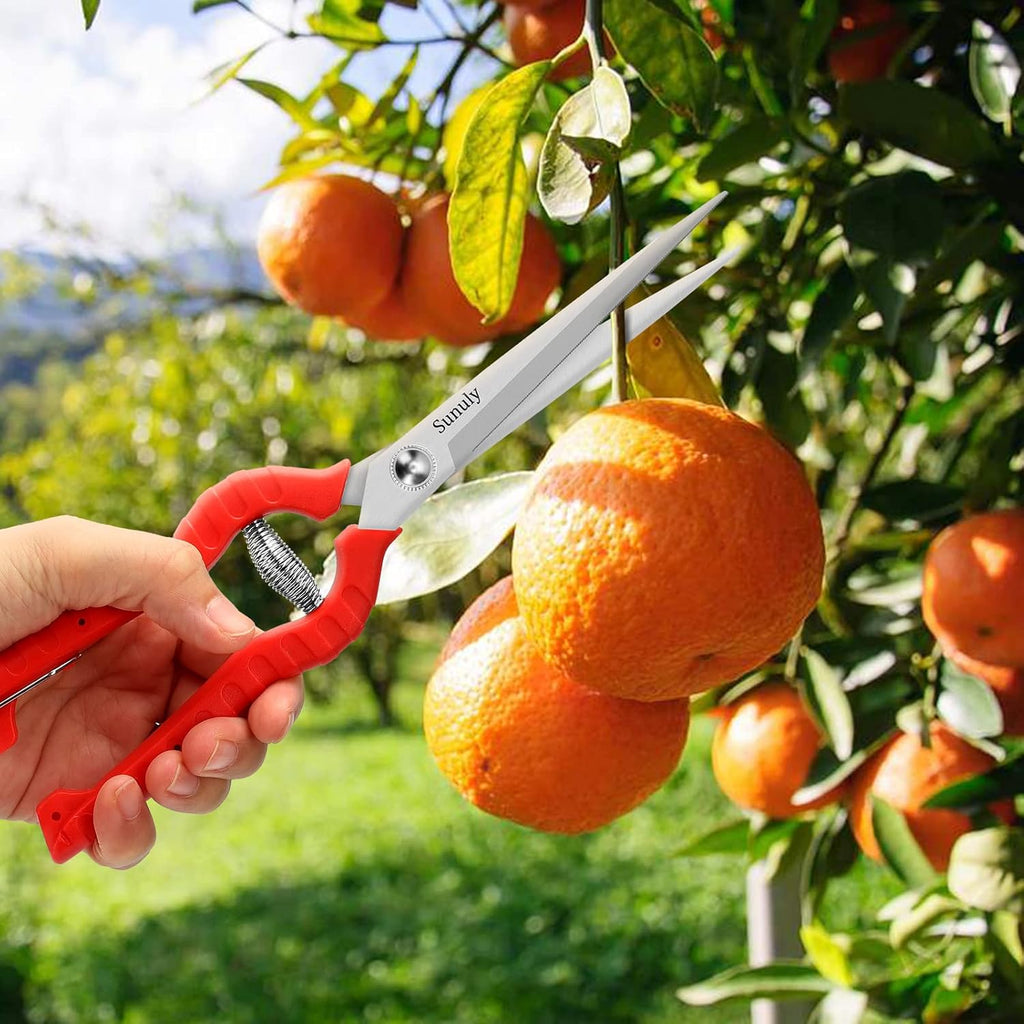 Extra Long Pruning Shears, Gardening Hand Pruners with Stainless Steel Blades, Garden scissors for Arranging Flowers, Trimming Plants, Harvesting Herbs, Fruits or Vegetables, 9.5IN