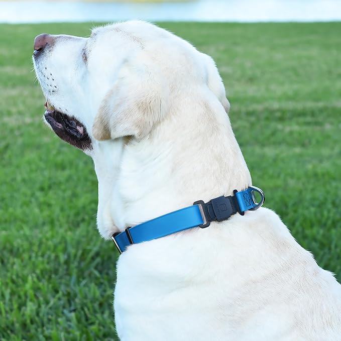 Dogline Biothane Waterproof Dog Collar with Herm Sprenger Stainless Steel Quick Release Buckle – Heavy Duty Tactical Durable Collar for Dogs – Comfortable and Safe Pet Collar, W 1" L 15-25", Blue