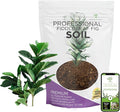 Large Bag Houseplant Fiddle Leaf Fig Soil Premium All Purpose Blend | Ready to Use for Indoor Houseplants | Peat, Sawdust, Course Sand and Pinebark | Extra Large 8.2 Quarts | Made in USA