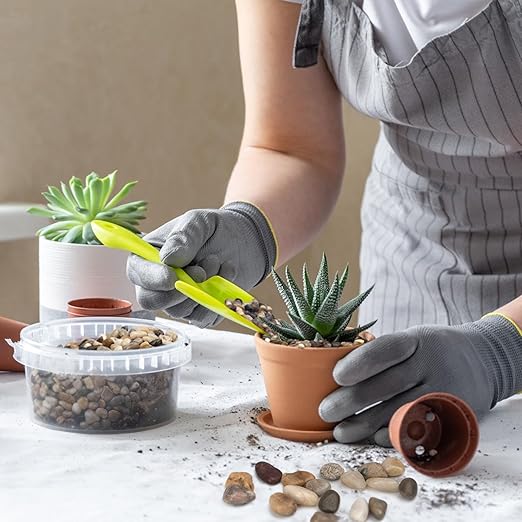 2.5 lbs Pebbles for Indoor Plants, Succulent, Bamboo, Vase, 3/8" Plant Rocks for Pots Indoor, Small River Rocks Decorative Pea Gravel, Highly Polished
