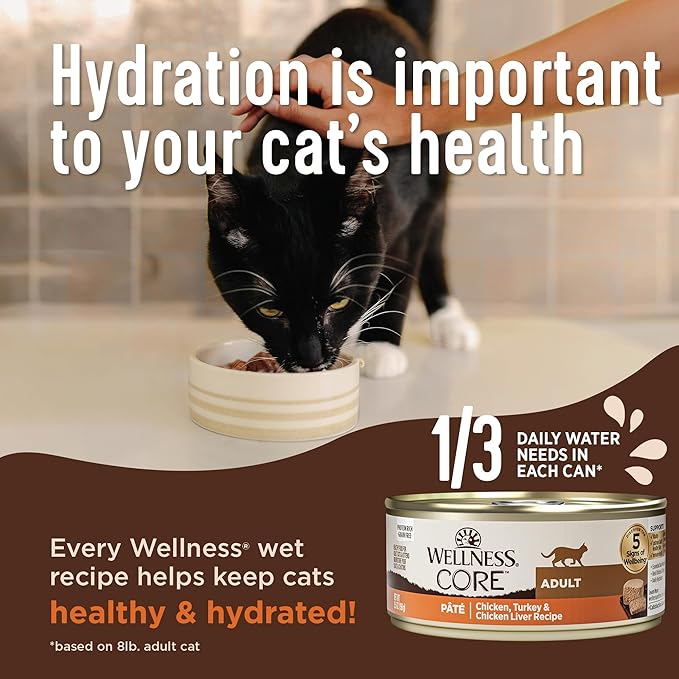 Wellness CORE+ Digestive Health Pate Adult Wet Cat Food, Natural, Protein-Rich, Grain Free, 3 Ounce, 12 Pack (Chicken & Turkey Variety Pack)