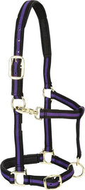 Weaver Equine Nylon Horse Halter, Triple-Ply Cheek Design, Original Non Adjustable Halters for Horses, Equine Tack,Average Size, Black