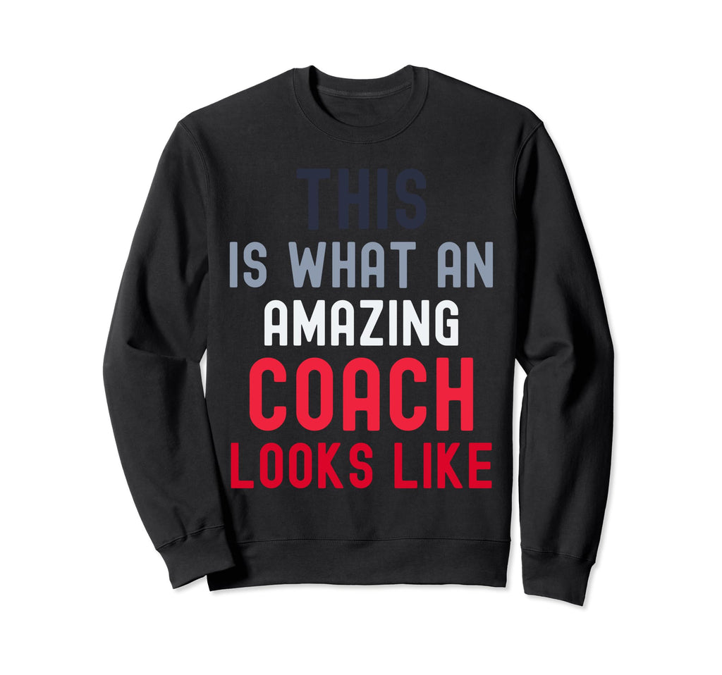 Coach Definition Coach Funny Coach Sweatshirt - Minimalist Print Unisex