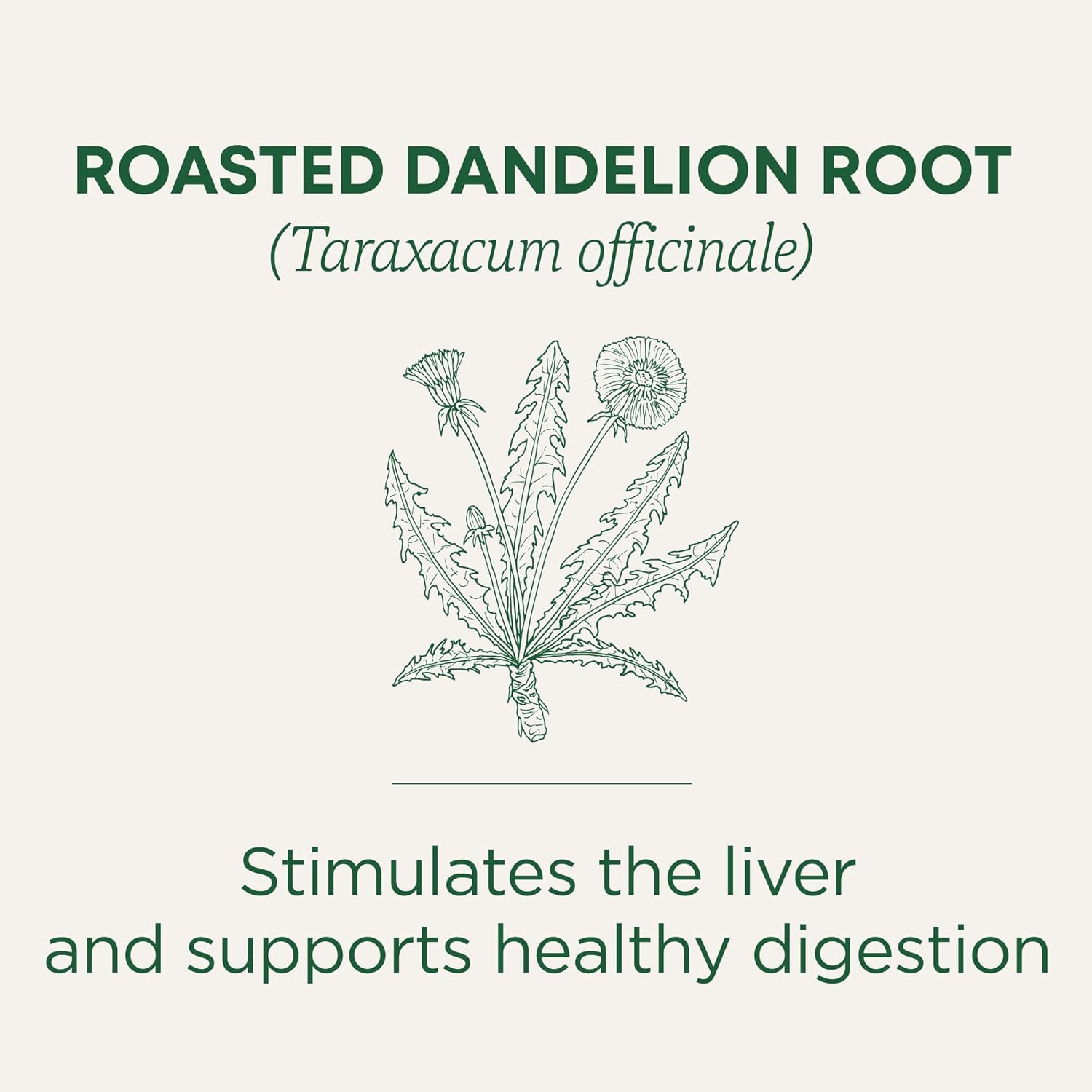 Traditional Medicinals Organic Roasted Dandelion Root Herbal Tea, 16 Tea Bags, Case of 6