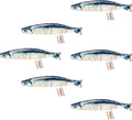 6 PCS Cat Fish Toy Soft and Durable,Cat nip Toy with Catnip Inside, Kicker Toys for Indoor Kitten Exercise,Kitty Teething Chew Toy (6 Sauries)