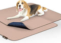 Paw Inspired Washable Pee Pads for Dogs (2 Pack), Leakproof, Non-Slip Reusable Puppy Pads for Potty Training, Whelping, Waterproof Mat (32x30 Inch, Pack of 2)