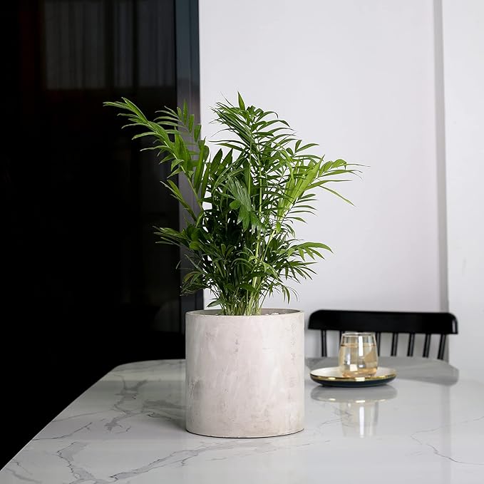 Plant Pots - 7.7 inch Cement Planters Indoor - Modern Grey Flower Pot with Drainage Hole - Home Office Decor