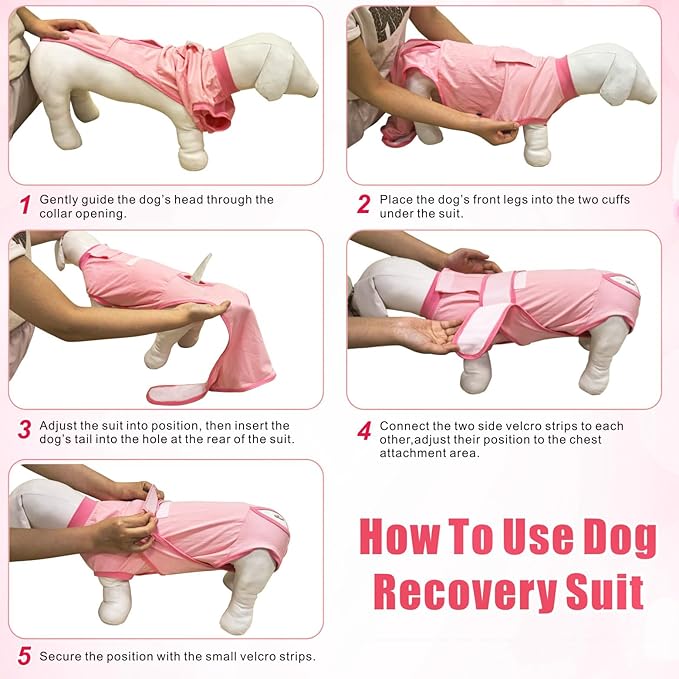 Idepet Dog Recovery Suit Female,Dogs Onesie Suit Surgery Male Breathable Pet Bodysuit for Spay Neuter E-Collar & Cone Alternative Surgical Suit Puppy Abdominal Anti Licking Wounds Shirt (Gray, S)
