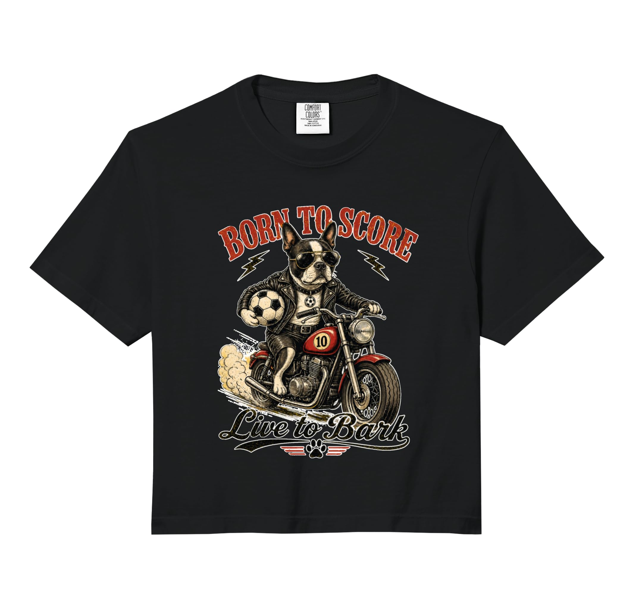 Boston Terrier Motorbike Love Footbal Hoodie - Custom Art Print Unisex