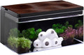 Harmony Aquatic Tank by Clairnara - Harmony Legend - iF Design Award Winning 10 Gallon All-in-One Aquarium